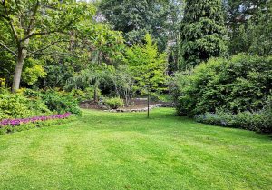 Optimiser l'expérience du jardin à Perrigny-lès-Dijon
